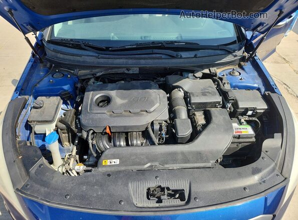 5NPE34AF6GH345649 2016 HYUNDAI SONATA Blue Սալոնի հետևի տեսք