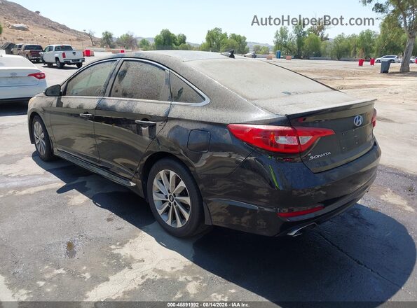 5NPE34AF6GH403484 2016 HYUNDAI SONATA Черный Задняя левая четверть