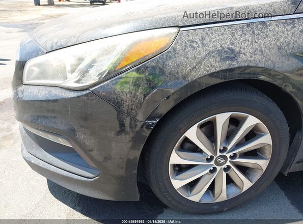 5NPE34AF6GH403484 2016 HYUNDAI SONATA Черный 