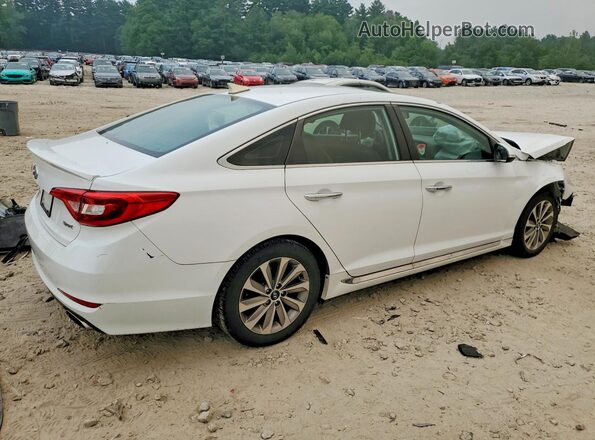 5NPE34AF6HH439936 2017 HYUNDAI SONATA White Задня права чверть