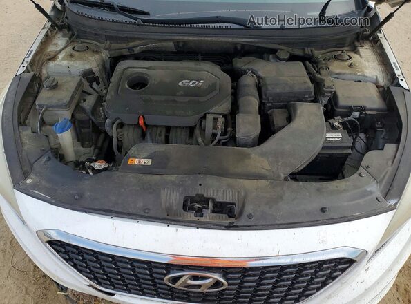 5NPE34AF6HH461290 2017 HYUNDAI SONATA White Widok wnętrza z tyłu
