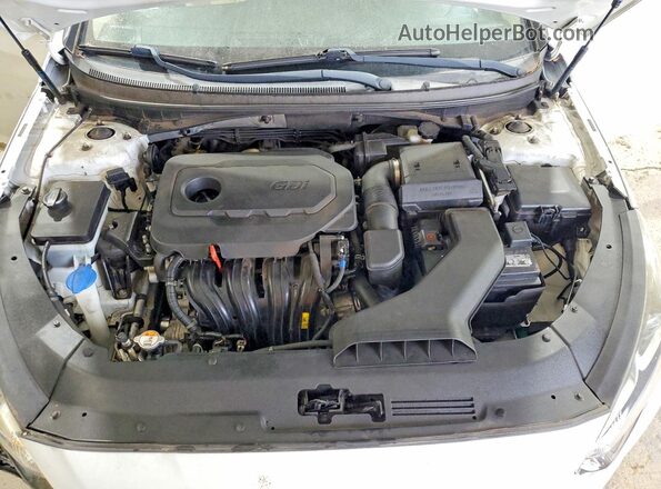 5NPE34AF6JH673242 2018 HYUNDAI SONATA White Widok wnętrza z tyłu