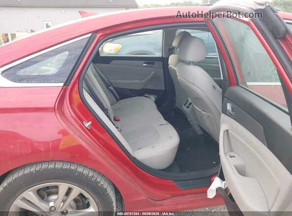 5NPE34AF6KH816966 2019 HYUNDAI SONATA Red VIN sticker view