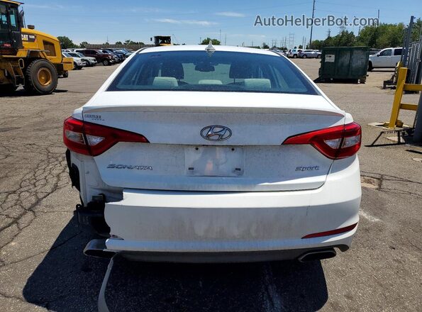 5NPE34AF7GH279810 2016 HYUNDAI SONATA White Հետևի տեսք