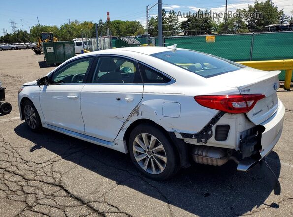 5NPE34AF7GH279810 2016 HYUNDAI SONATA White Հետևի ձախ