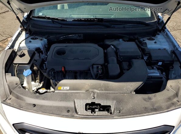 5NPE34AF7GH279810 2016 HYUNDAI SONATA White Սալոնի հետևի տեսք