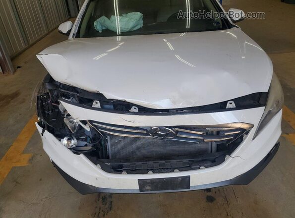 5NPE34AF7GH298552 2016 HYUNDAI SONATA Белый Вид задней части салона