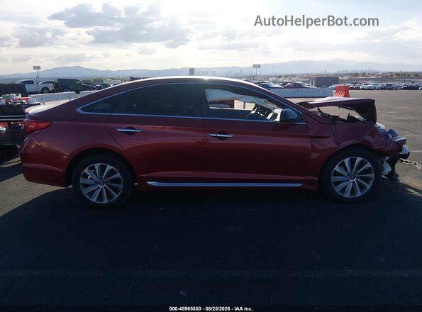 5NPE34AF7GH330447 2016 HYUNDAI SONATA Красный Вид задней части салона