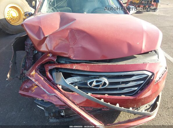 5NPE34AF7GH330447 2016 HYUNDAI SONATA Красный Вид спереди