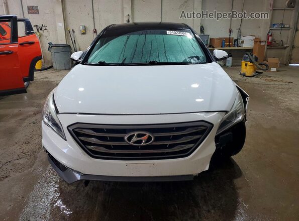 5NPE34AF7GH427647 2016 HYUNDAI SONATA White Widok z przodu