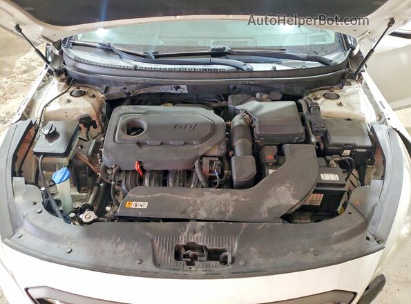 5NPE34AF7GH427647 2016 HYUNDAI SONATA White Widok wnętrza z tyłu
