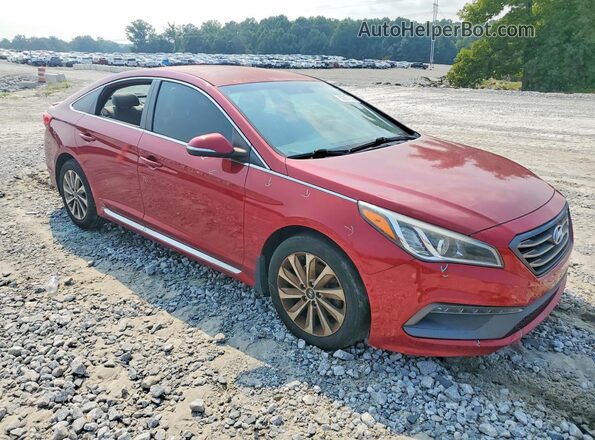 5NPE34AF7GH433447 2016 HYUNDAI SONATA Red Передня права чверть