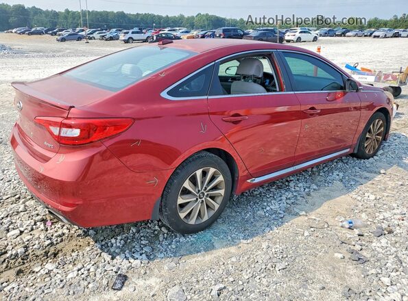 5NPE34AF7GH433447 2016 HYUNDAI SONATA Red Задня права чверть