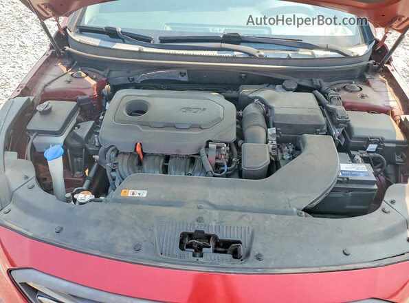 5NPE34AF7GH433447 2016 HYUNDAI SONATA Red Вид задньої частини салону
