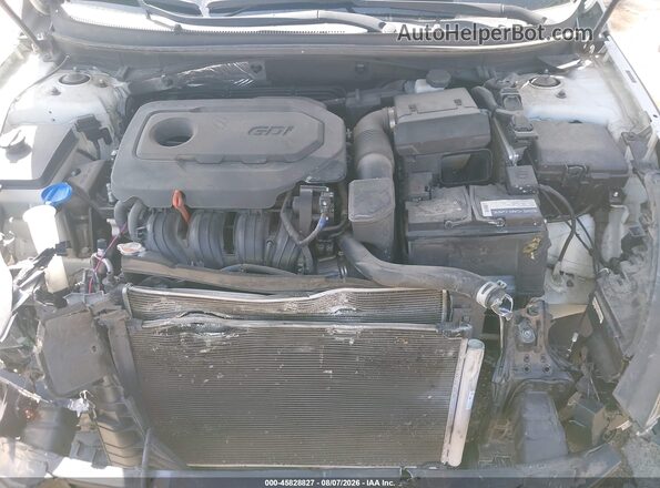 5NPE34AF7JH632117 2018 HYUNDAI SONATA White Widok z tyłu