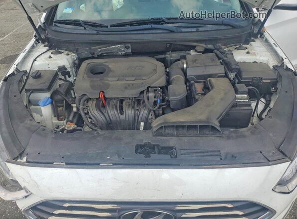 5NPE34AF7JH646194 2018 HYUNDAI SONATA White Widok wnętrza z tyłu