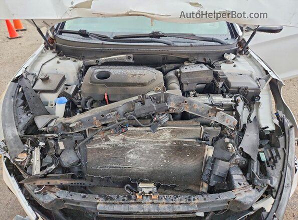 5NPE34AF7JH722786 2018 HYUNDAI SONATA Белый Вид задней части салона