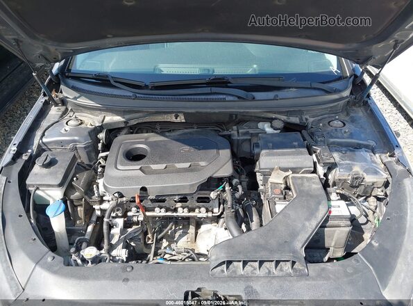 5NPE34AF7KH729545 2019 HYUNDAI SONATA Gray Вид ззаду