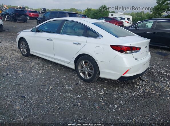 5NPE34AF7KH749326 2019 HYUNDAI SONATA White Հետևի ձախ
