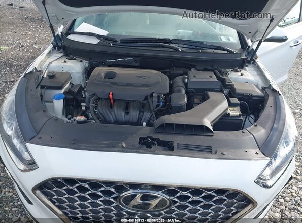 5NPE34AF7KH749326 2019 HYUNDAI SONATA White Հետևի տեսք