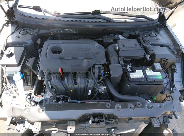 5NPE34AF7KH770273 2019 HYUNDAI SONATA Gray Widok z tyłu