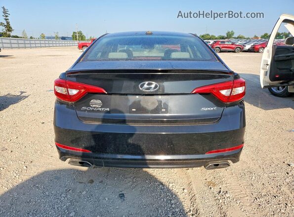 5NPE34AF8GH266757 2016 HYUNDAI SONATA Black Հետևի տեսք