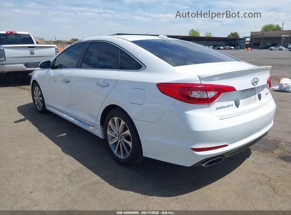 5NPE34AF8HH584329 2017 HYUNDAI SONATA Белый Задняя левая четверть
