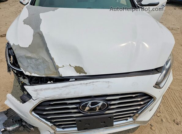 5NPE34AF8JH683268 2018 HYUNDAI SONATA White Սալոնի հետևի տեսք