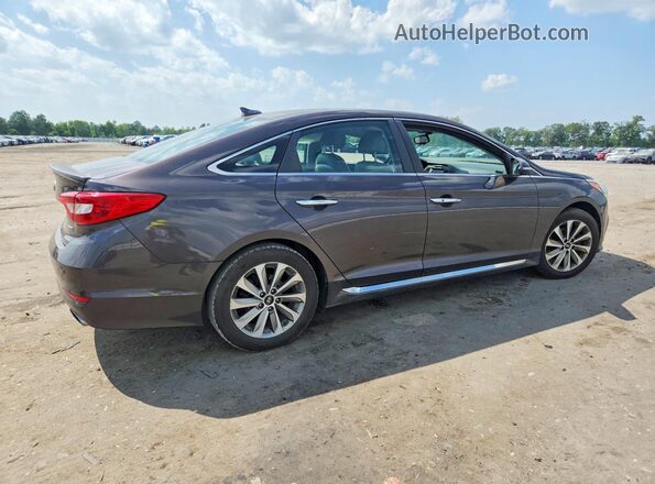 5NPE34AF9GH286077 2016 HYUNDAI SONATA Gray Հետևի աջ