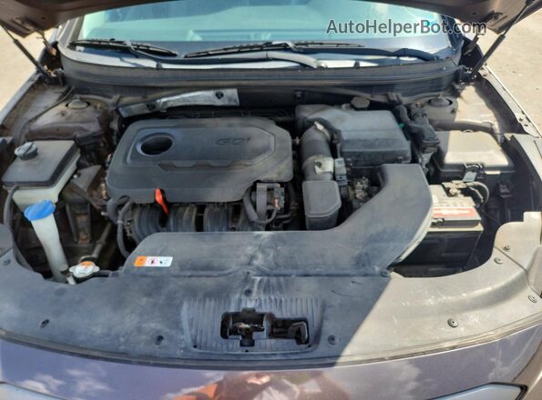 5NPE34AF9GH286077 2016 HYUNDAI SONATA Gray Սալոնի հետևի տեսք