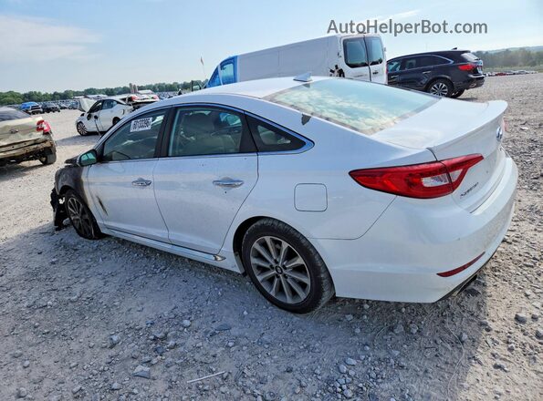 5NPE34AF9GH428220 2016 HYUNDAI SONATA White Հետևի ձախ