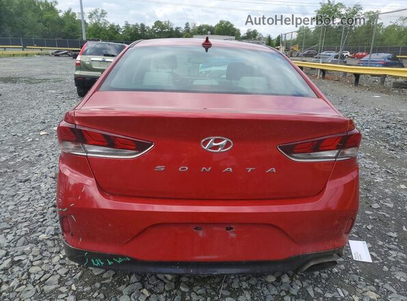 5NPE34AF9JH672523 2018 HYUNDAI SONATA Red უკანა ხედი