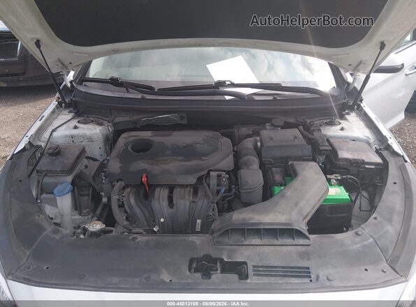 5NPE34AF9KH778715 2019 HYUNDAI SONATA Белый Вид сзади