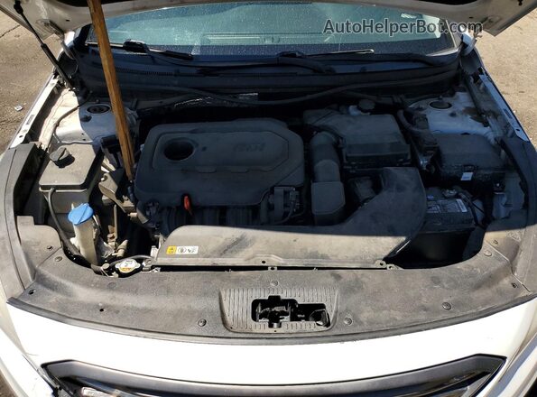 5NPE34AFXGH345511 2016 HYUNDAI SONATA White Rear interior view