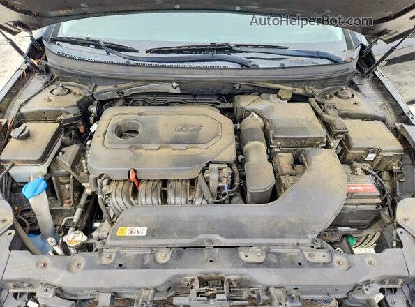 5NPE34AFXGH353947 2016 HYUNDAI SONATA Black Rear interior view