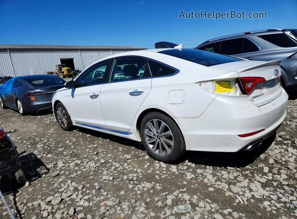 5NPE34AFXHH504416 2017 HYUNDAI SONATA White Tył lewy