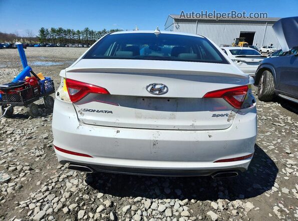 5NPE34AFXHH504416 2017 HYUNDAI SONATA White Widok z tyłu