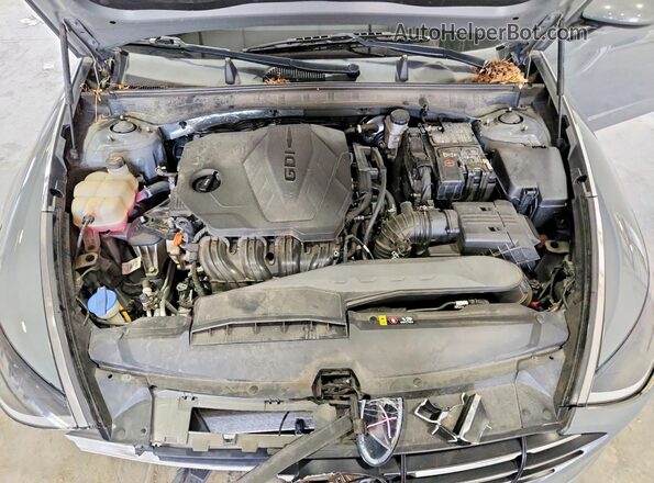 5NPEG4JA8MH114854 2021 HYUNDAI SONATA Gray Սալոնի հետևի տեսք