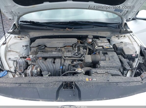 5NPLL4AG0MH049618 2021 HYUNDAI ELANTRA White Вид ззаду
