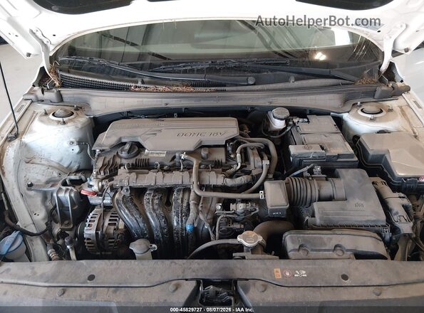 5NPLL4AG5MH047802 2021 HYUNDAI ELANTRA White Widok z tyłu