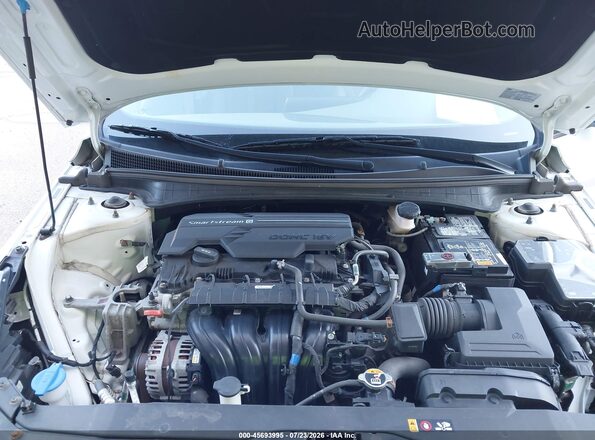 5NPLL4AG7MH049129 2021 HYUNDAI ELANTRA Белый Вид сзади
