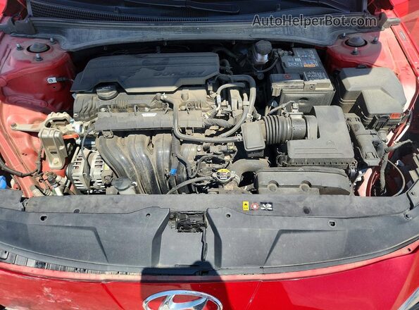 5NPLM4AG4PH109126 2023 HYUNDAI ELANTRA Red Widok wnętrza z tyłu