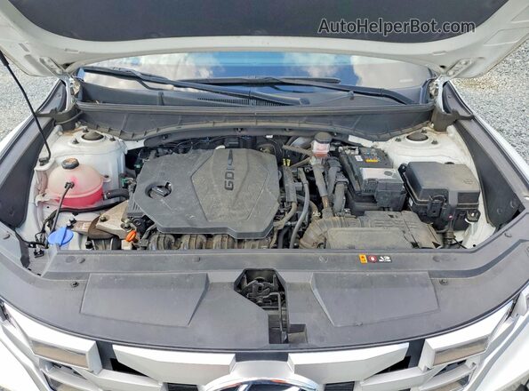 5NTJADAE0PH074133 2023 HYUNDAI SANTA White უკანა სალონის ხედი
