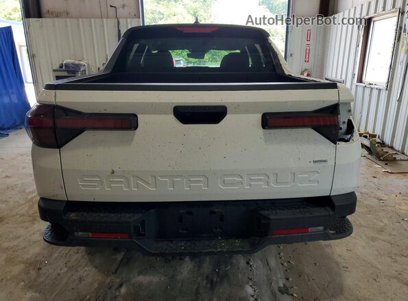 5NTJADDE7SH143288 2025 HYUNDAI SANTA White Rear view
