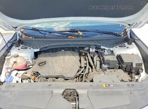 5NTJBDAE8PH071221 2023 HYUNDAI SANTA Белый Вид задней части салона