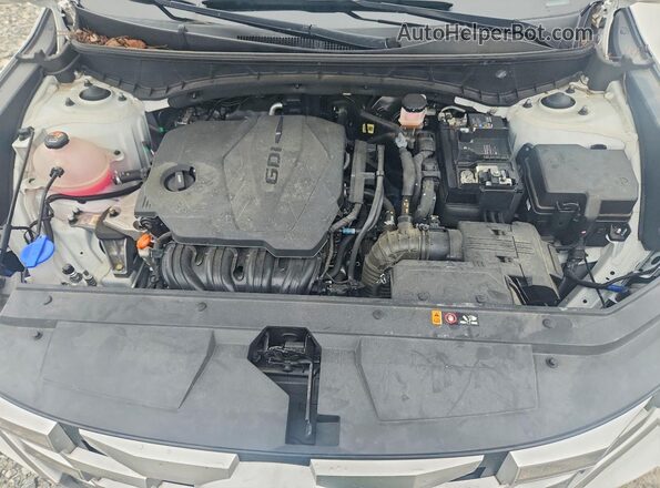 5NTJC4AE5RH092043 2024 HYUNDAI SANTA White Սալոնի հետևի տեսք