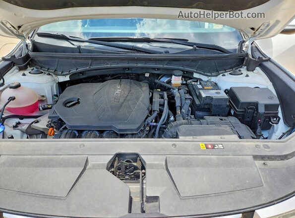 5NTJC4AEXRH091650 2024 HYUNDAI SANTA White Vista interior trasera