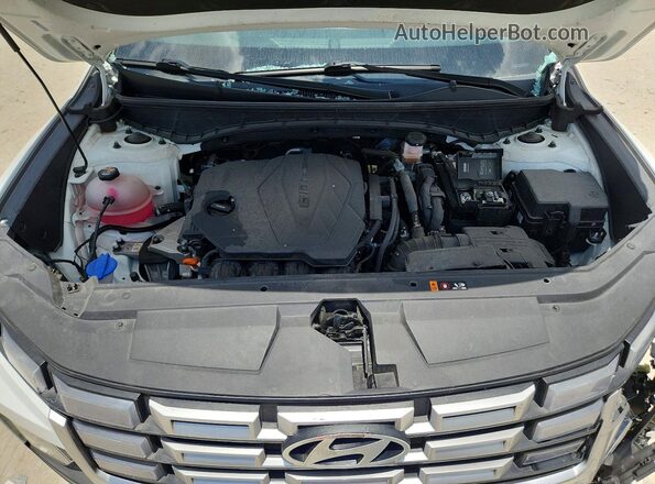 5NTJC4DE2SH136727 2025 HYUNDAI SANTA White Widok wnętrza z tyłu