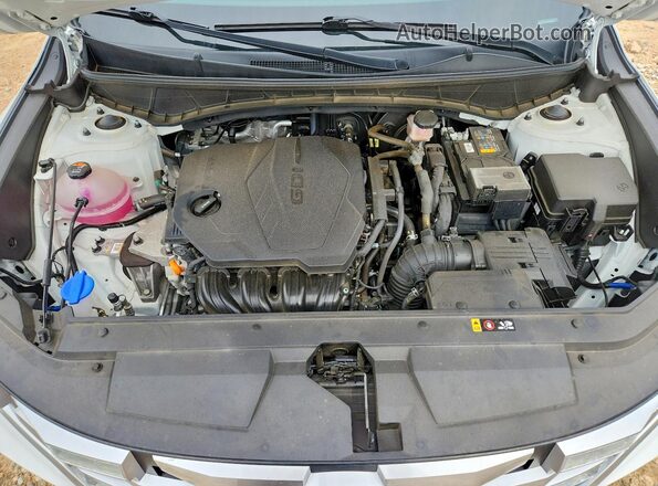 5NTJCDAE6NH009424 2022 HYUNDAI SANTA Белый Вид задней части салона