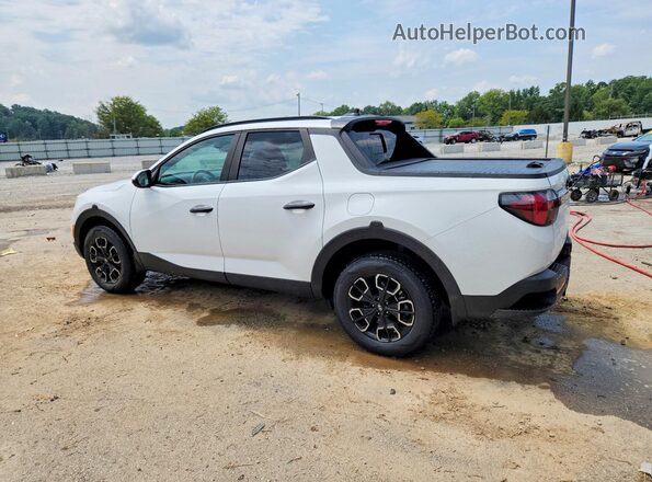 5NTJCDAE7RH099091 2024 HYUNDAI SANTA White უკანა მარცხენა